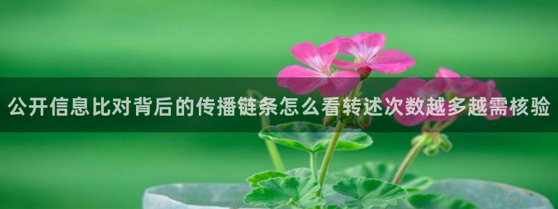 网络资讯爆料:公开信息比对背后的传播链条怎么看转述次数越多越需核验
