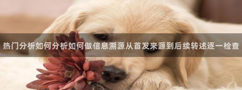 事件爆料大全:热门分析如何分析如何做信息溯源从首发来源到后续转述逐一检查