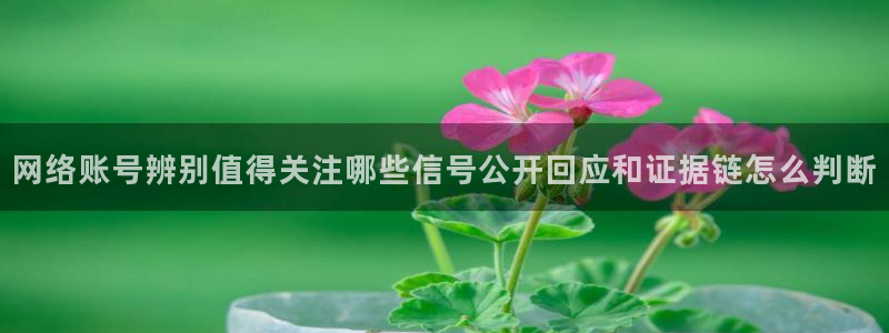 黑料今日话题:网络账号辨别值得关注哪些信号公开回应和证据链怎么判断