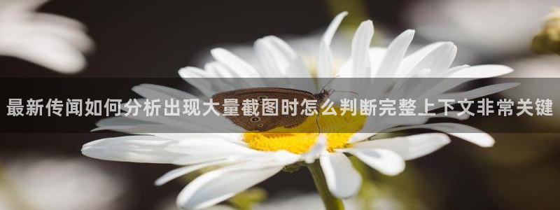 黑料爆料网站大全:最新传闻如何分析出现大量截图时怎么判断完整上下文非常关键