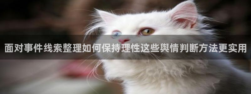 网络黑料热点:面对事件线索整理如何保持理性这些舆情判断方法更实用