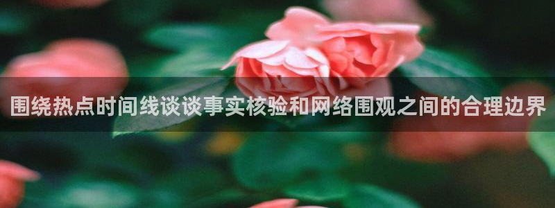 热点爆料导航:围绕热点时间线谈谈事实核验和网络围观之间的合理边界
