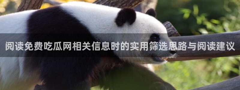 网络热点话题：阅读免费吃瓜网相关信息时的实用筛选思路与阅读建议