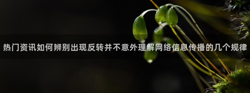 黑料网络资讯:热门资讯如何辨别出现反转并不意外理解网络信息传播的几个规律