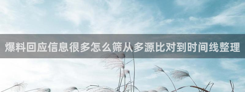 黑料爆料热点事件:爆料回应信息很多怎么筛从多源比对到时间线整理