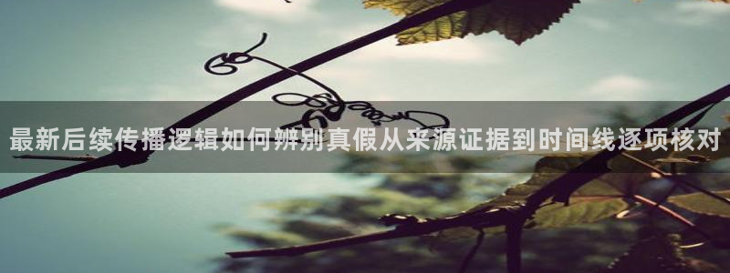 黑料今日话题:最新后续传播逻辑如何辨别真假从来源证据到时间线逐项核对