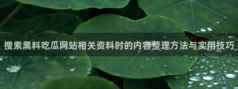 黑料爆料资讯：搜索黑料吃瓜网站相关资料时的内容整理方法与实用技巧