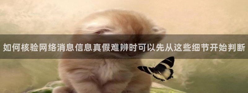 黑料爆料热门榜：如何核验网络消息信息真假难辨时可以先从这些细节开始判断