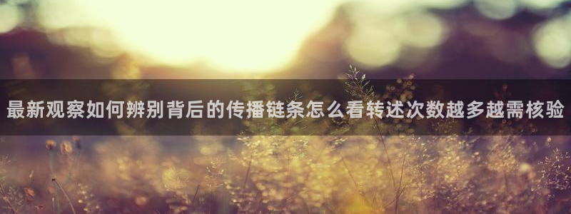 黑料爆料事件搜索:最新观察如何辨别背后的传播链条怎么看转述次数越多越需核验